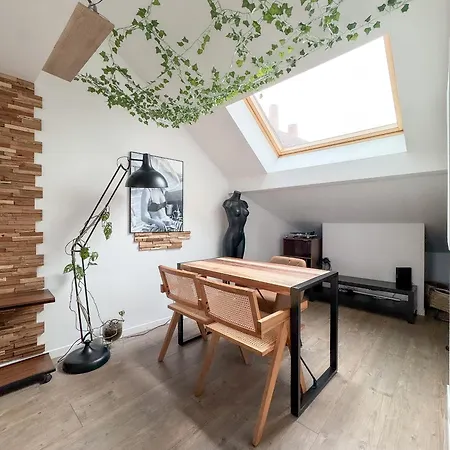 Duplex Centre-ville2 * Caen